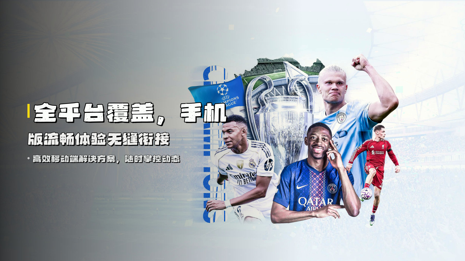 全平台覆盖，<strong>手机版</strong>流畅体验无缝衔接